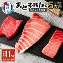 【ふるさと納税】 定期便 まぐろ 魚 冷凍 焼津 大トロ 中トロ 赤身 まぐろたたき 総量約2kg 【定期便5回】 天然 本鮪 一本分を加工してお届け 刺身に 海鮮丼に b50-011