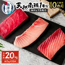 【ふるさと納税】 定期便 まぐろ 魚 冷凍 焼津 南鮪 大ト