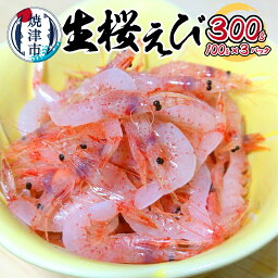 【ふるさと納税】 桜えび 生 100g×3パック 駿河湾 天然 冷凍 焼津 a10-984