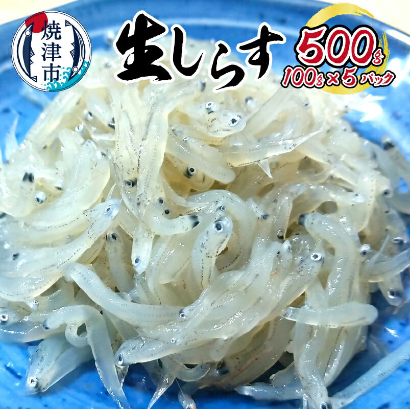 【ふるさと納税】 生しらす 100g×5パック 駿河湾 魚 天然 冷凍 焼津 a10-985のサムネイル