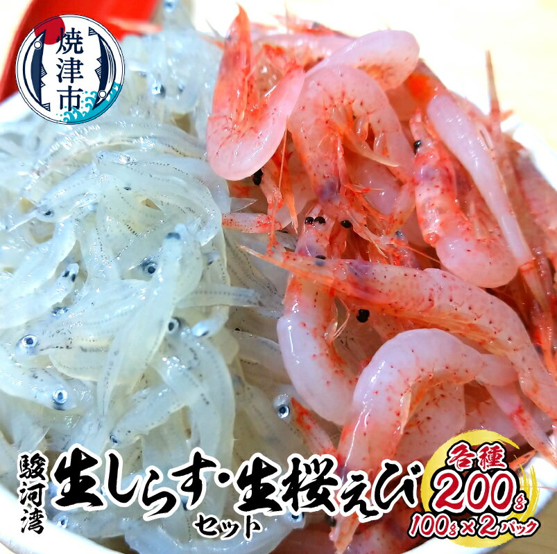 生しらす 生桜えび セット 駿河湾 魚 天然 冷凍 焼津 各100g×2パック