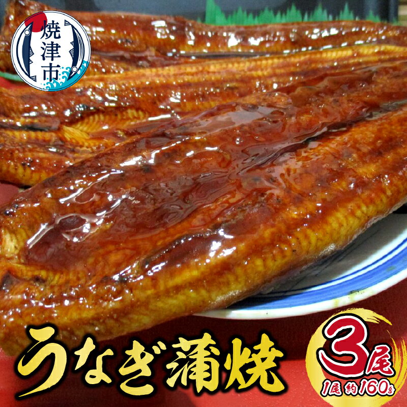 【ふるさと納税】 うなぎ 国産 蒲焼き たれ付き 山椒付き 約160g×3尾 肉厚 おかず 冷凍 焼津 a18-017