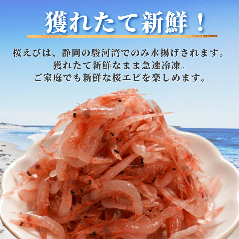 【ふるさと納税】 生桜えび 桜えび 天然 生食 100g×3 焼津特選 冷凍 魚介 焼津 a10-679