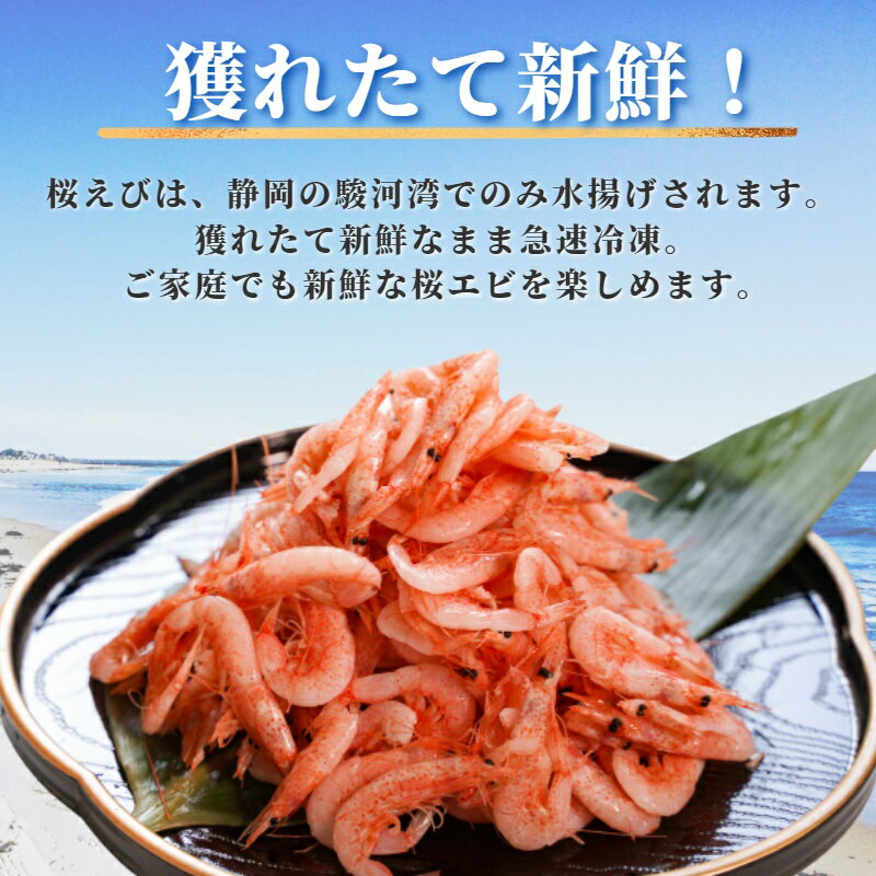 【ふるさと納税】 釜揚げ桜えび 桜えび 天然 100g×5パック 釜揚げ 焼津特選 産地直送 無着色 無添加 焼津 a15-560