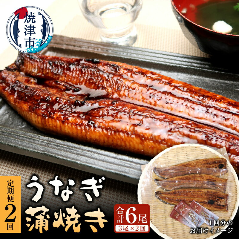 定期便 2回 うなぎ 蒲焼 長焼き 約140g×3本×2回 タレ・山椒付き おかず魚 冷凍 焼津