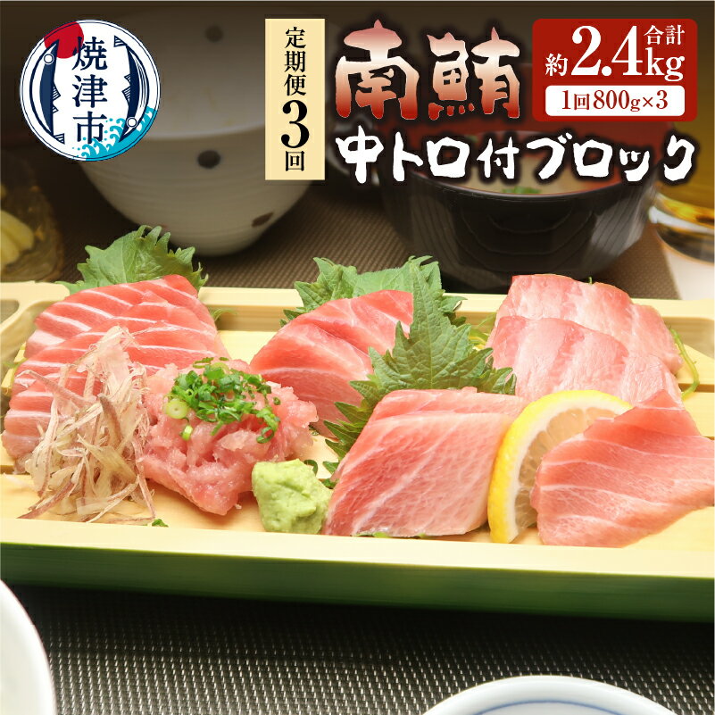 【ふるさと納税】 定期便 3回 まぐろ 焼津 天然 南鮪 中...