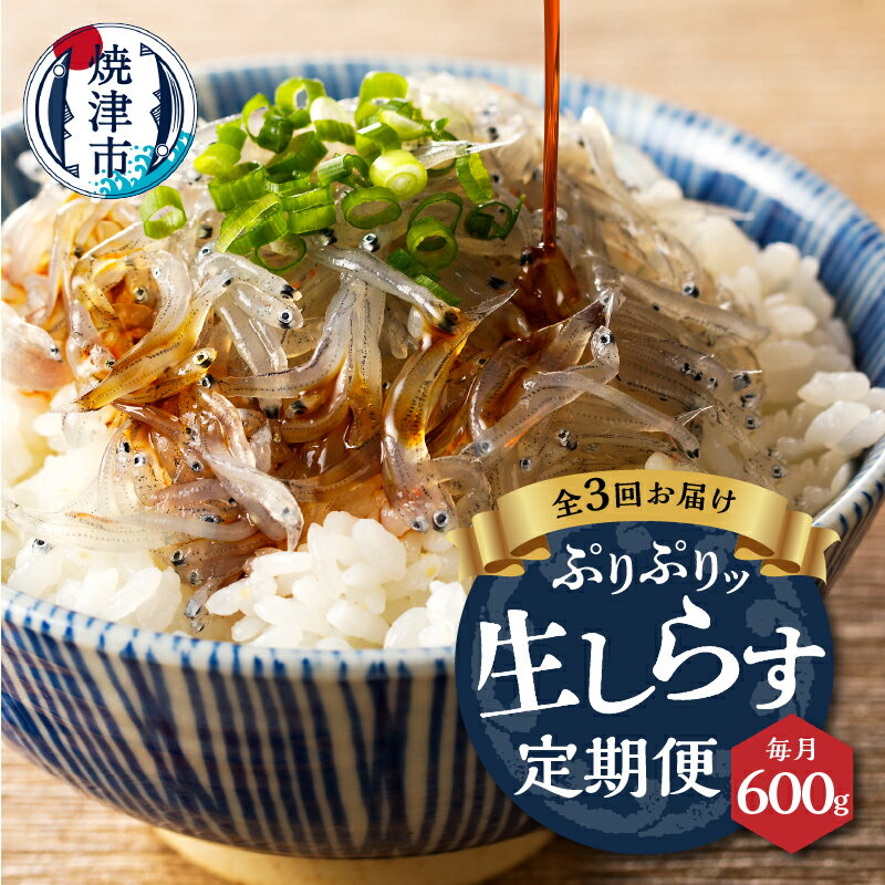 定期便 しらす 生しらす 魚 冷凍 焼津 天然 生しらす 100g×6個 お届け 3回 【定期便 3回】 a30-234