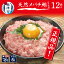 【ふるさと納税】ネギトロ まぐろ 天然 メバチマグロ 80g×12袋 正規品 冷凍 チューブ式 a10-507