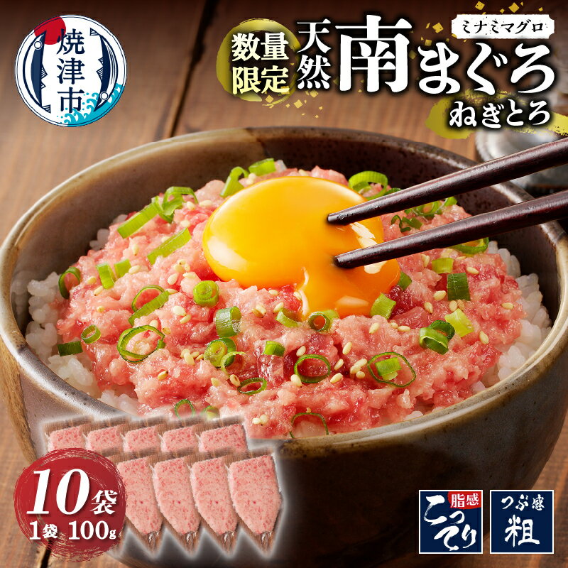 【ふるさと納税】 ネギトロ まぐろ 天然 南まぐろ 贅沢 100g×10袋 個数限定 小袋 冷凍 焼津 a10-1069のサムネイル
