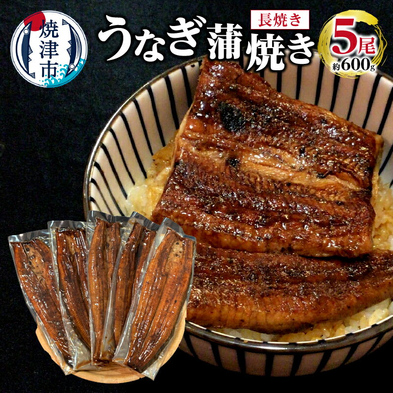 うなぎ 鰻 魚 蒲焼き 長焼き 5尾 約 600g 焼津