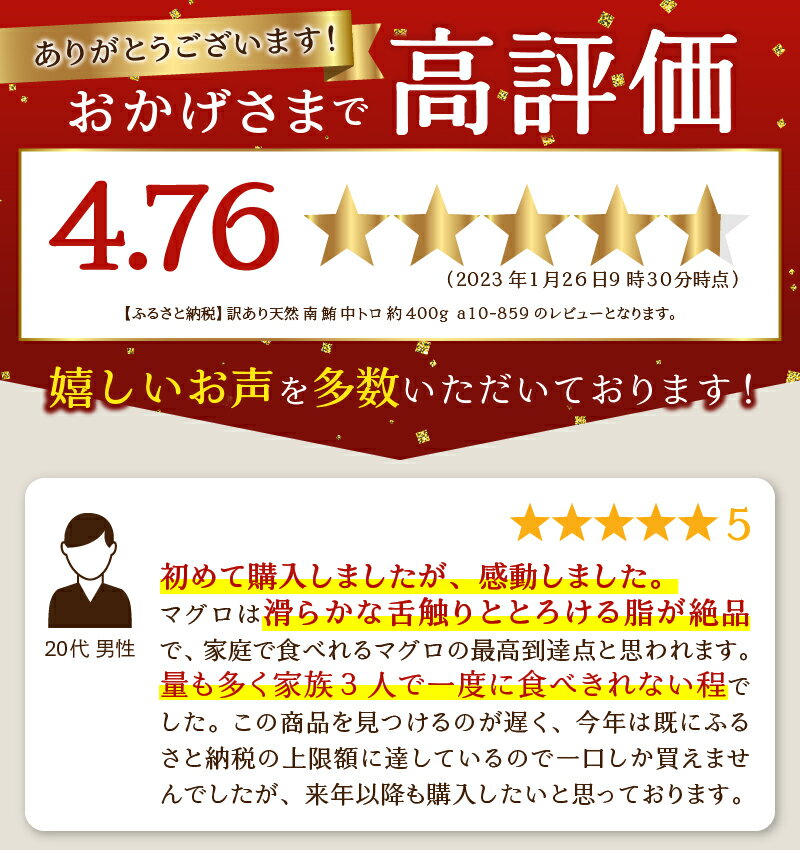 【ふるさと納税】 訳あり まぐろ 天然 南鮪 ミナミマグロ 中トロ 不定型柵 約400g 冷凍 焼津 魚 a10-859