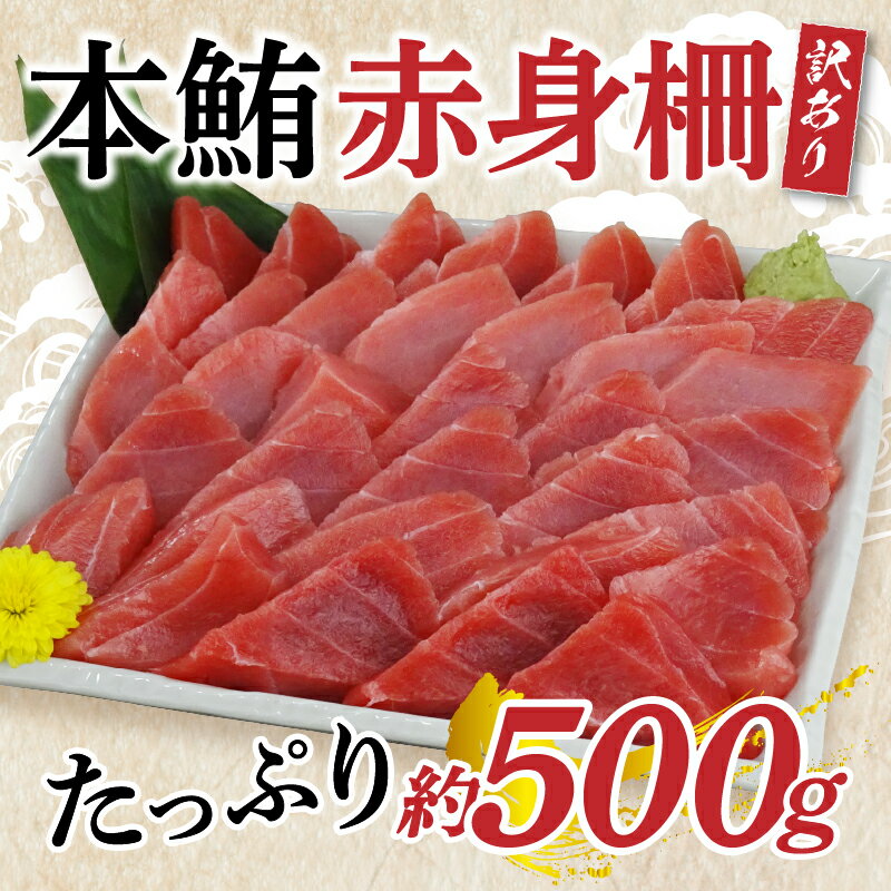 【ふるさと納税】 訳あり まぐろ 鮪 魚 冷凍 焼津 本鮪 赤身 約500g 刺身に 寿司に a10-844
