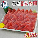 【ふるさと納税】 訳あり まぐろ 鮪 魚 冷凍 焼津 本鮪 赤身 約500g 刺身に 寿司に a10-844