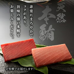 【ふるさと納税】 まぐろ 中とろ 赤身 刺身 海鮮丼 寿司 天然本鮪詰合せ 魚 焼津 a15-553 画像2