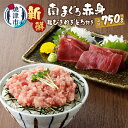 【ふるさと納税】 ネギトロ まぐろ 赤身 切り落とし セット 計約750g 冷凍 個食タイプ 天然 南鮪赤身約150g×4 粗挽ねぎとろ約150g×1 マルコ水産 魚 焼津 a12-039