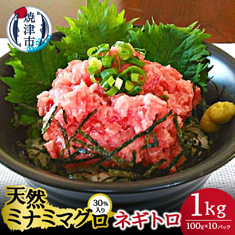 【ふるさと納税】 ネギトロ まぐろ 天然 ミナミマグロ 30％入り 100g 10パック 計1kg 焼津 魚 a10-768