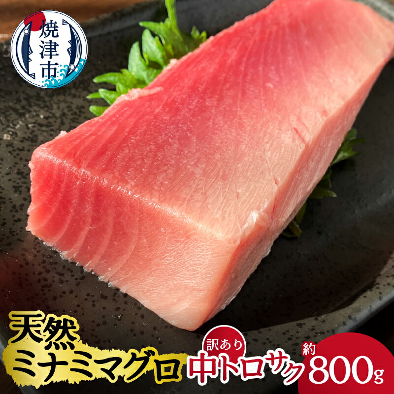 まぐろ 中トロ サク 刺身 寿司 海鮮丼 天然 ミナミマグロ 訳あり 約800g 魚 焼津