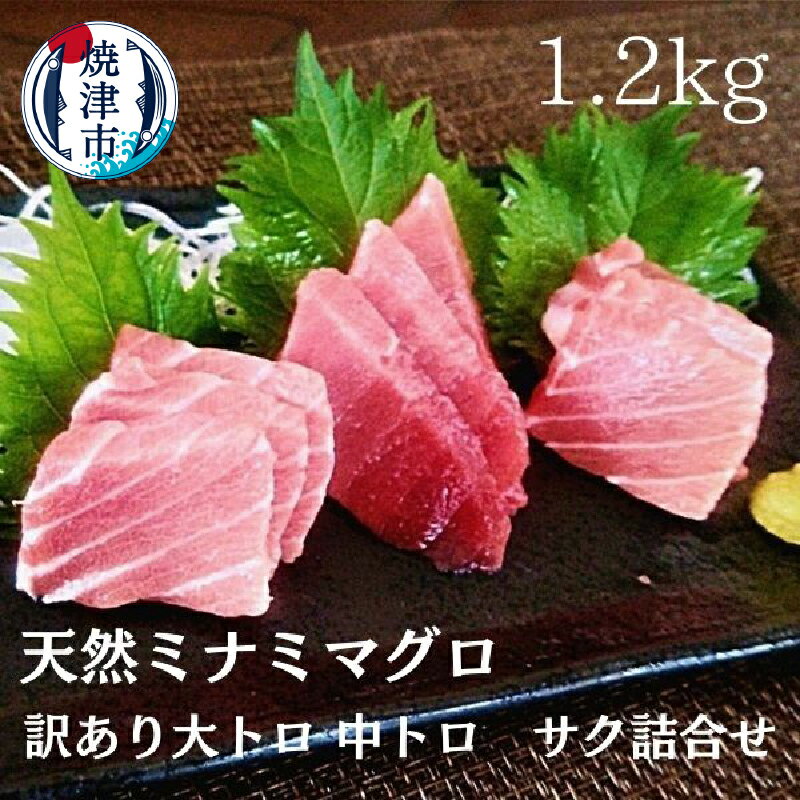 【ふるさと納税】 まぐろ 訳あり 大トロ 中トロ サク 寿司 刺身 海鮮丼 天然ミナミマグロ 詰合せ 計1.2kg入り 魚 焼津 a30-227