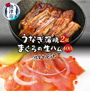 【ふるさと納税】 うなぎ まぐろ 冷凍 魚 焼津 まぐろの生