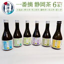 【ふるさと納税】 お茶 静岡茶 春摘み ボトル セット 本山茶 富士茶 藤枝茶 牧之原茶 掛川茶 天竜茶 焼津 一番摘静岡茶 本山茶入り300ml 6本 セット...