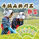 【ふるさと納税】【新茶】希少な手摘み掛川茶5袋セット