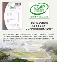 【ふるさと納税】有機JAS・JGAP認証オーガニック野菜3回お届け定期便