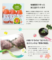 【ふるさと納税】有機JAS・JGAP認証オーガニック野菜3回お届け定期便