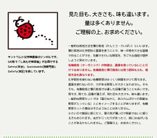 【ふるさと納税】有機JAS・JGAP認証オーガニック野菜3回お届け定期便