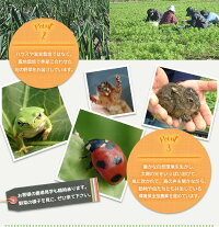 【ふるさと納税】有機JAS・JGAP認証オーガニック野菜3回お届け定期便