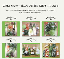 【ふるさと納税】有機JAS・JGAP認証オーガニック野菜3回お届け定期便