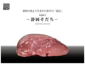 【ふるさと納税】特選和牛「静岡そだち」で作ったローストビーフ500g（250g前後×2個）特製ソース2種類付き