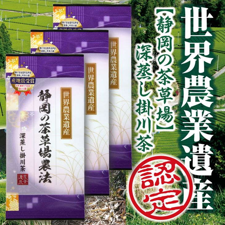 お茶 新茶 受付あり お茶 緑茶 世界農業遺産『静岡の茶草場農法』深蒸し掛川茶 100g 3袋セット美笠園〔 煎茶 茶葉 静岡 掛川茶 〕