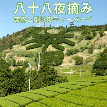 【ふるさと納税】八十八夜摘み深蒸し掛川ティーバッグ2g20個入り4袋セット