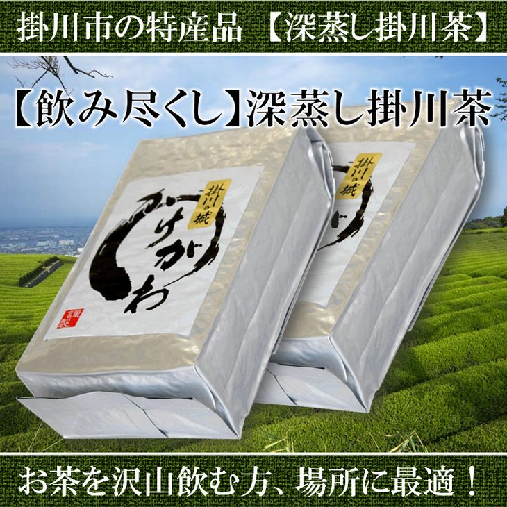 お茶 緑茶 飲み尽くし用 深蒸し掛川茶セット 500g 2袋(1kg) 美笠園〔 煎茶 茶葉 静岡 掛川茶 〕