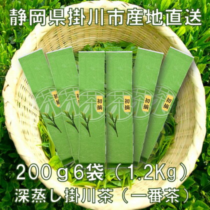 お茶 新茶受付あり お茶 飲み尽くし産直　深蒸し掛川茶（一番茶100％）200g×6袋（1．2kg）セット〔 緑茶 煎茶 茶葉 静岡 掛川茶 美笠園 〕