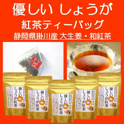 紅茶 ティーバッグ 優しいしょうが紅茶「ジンジャーティー」（静岡県掛川産）ティーバッグ2g13個入り×5袋 美笠園〔 セカンドフラッシュ 夏摘み べにふうき 静岡 掛川茶 しょうが 〕