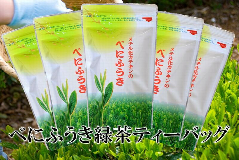 お茶 緑茶 べにふうき緑茶(メチル化カテキン)ティーバッグ5g・10個入×5袋 計50個 美笠園〔 煎茶 茶葉 静岡 粉末緑茶 〕