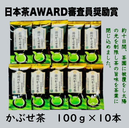 お茶 緑茶 茶草場農法の掛川かぶせ茶 100g×10本 大井製茶〔 静岡茶 掛川茶 かぶせ 小分け 〕