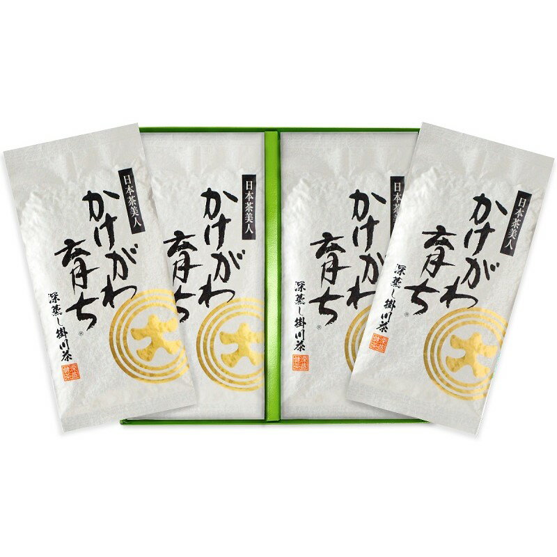 12位! 口コミ数「0件」評価「0」お茶 緑茶 新茶受付あり 深蒸し掛川茶「かけがわ育ちW」100g×4袋セット〔お茶 緑茶 煎茶 茶葉 静岡 三重大製茶 〕