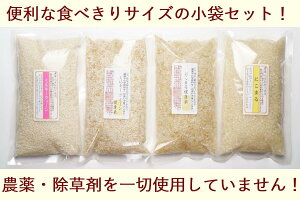 米4袋修正画像