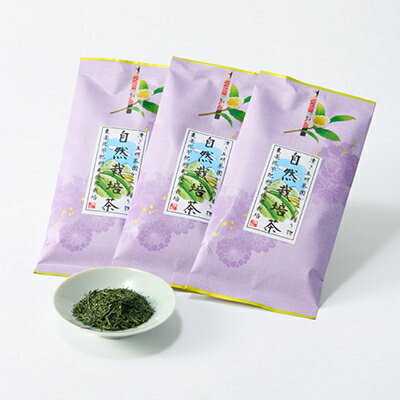 静岡県掛川市の画像2