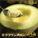 【ふるさと納税】【通年出荷】クラウンメロン(山等級) 2玉詰【配送不可地域:離島・北海道・沖縄県】【1104736】