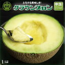【ふるさと納税】【通年出荷】クラウンメロン(白等級)中玉 1玉【配送不可地域:離島・北海道・沖縄県】【1104741】
