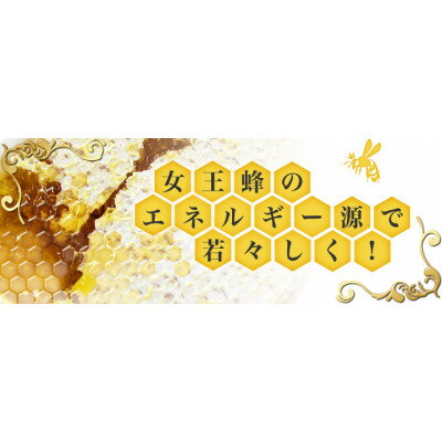 静岡県掛川市の画像3