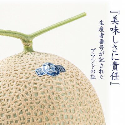 静岡県掛川市の画像2