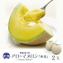【ふるさと納税】【通年出荷】アローマメロン(小玉) 2玉入【配送不可地域:離島・北海道・沖縄県】【1170105】