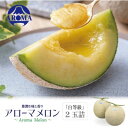 【ふるさと納税】【通年出荷】アローマメロン(白等級) 2玉入【配送不可地域:離島・北海道・沖縄県】【1170107】