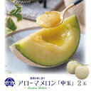【ふるさと納税】【通年出荷】アローマメロン 白等級(中玉) 2玉入【配送不可地域:離島・北海道・沖縄県】【1170109】
