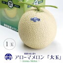 【ふるさと納税】【通年出荷】アローマメロン 白等級(大玉) 1玉入【配送不可地域:離島・北海道・沖縄県】【1170110】