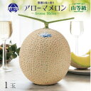 【ふるさと納税】【通年出荷】アローマメロン(山等級) 1玉入【品格溢れる高級品】【配送不可地域:離島・北海道・沖縄県】【1170113】